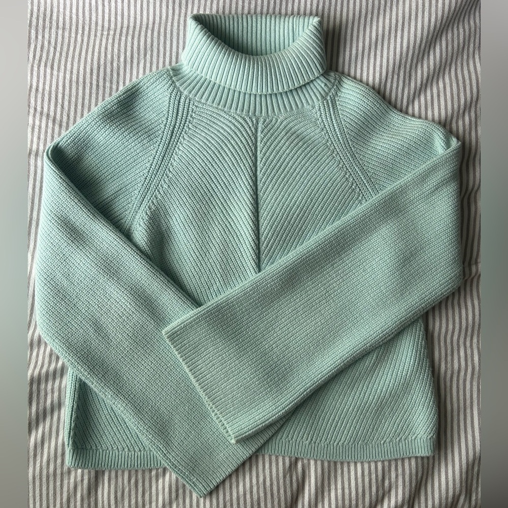 Maeve cropped turtle neck wide sleeve sweater